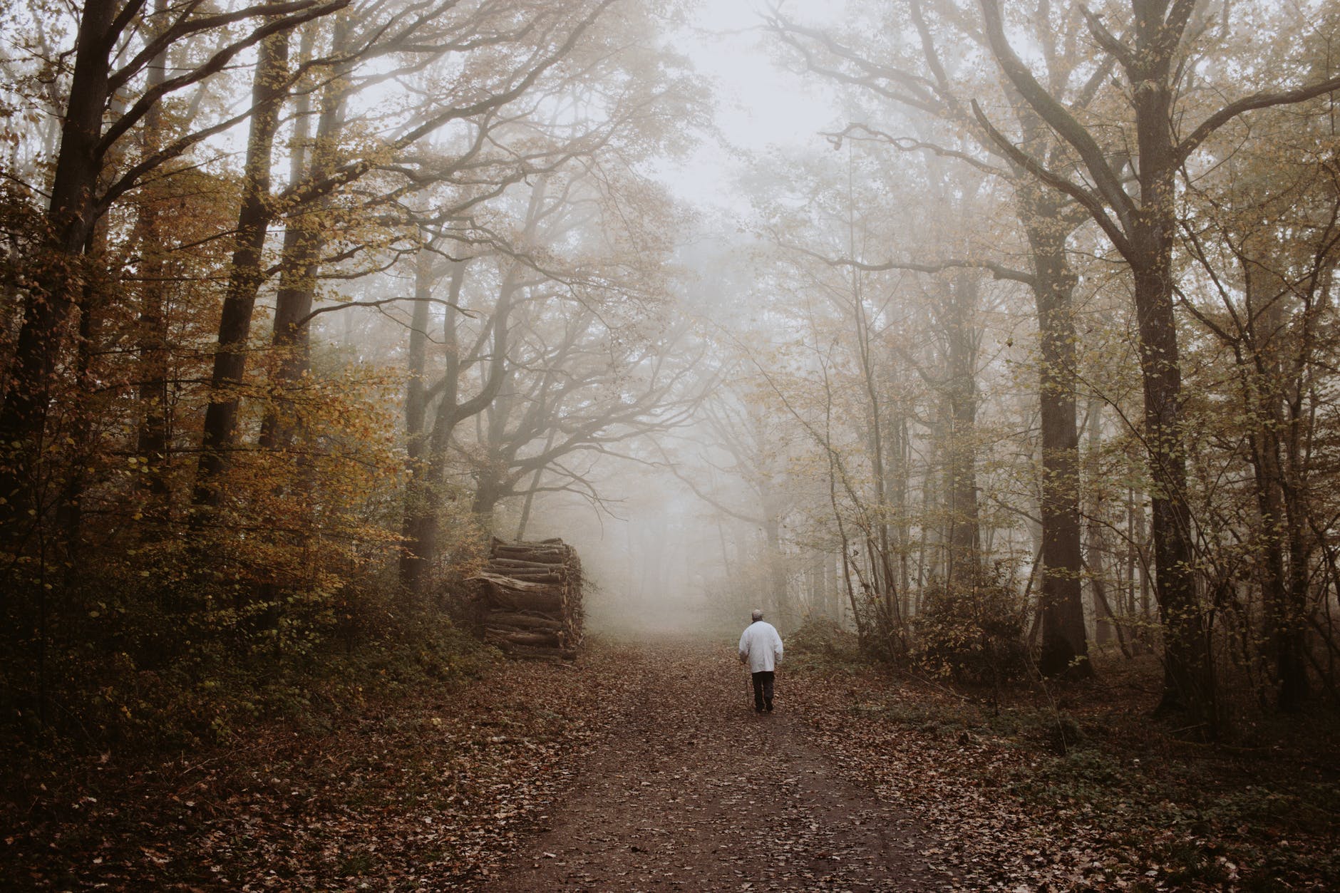 unrecognizable man walking on path between foggy trees in autumn